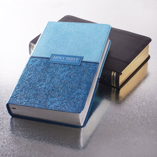 Giant Print Bibles