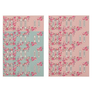 Pink and Blue Old and New Testament Bible Indexing Tabs