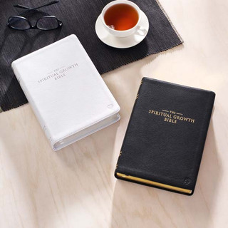 NLT Bibles