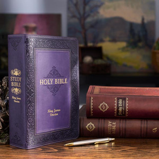 Study Bibles