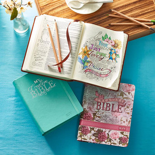 Coloring Bibles